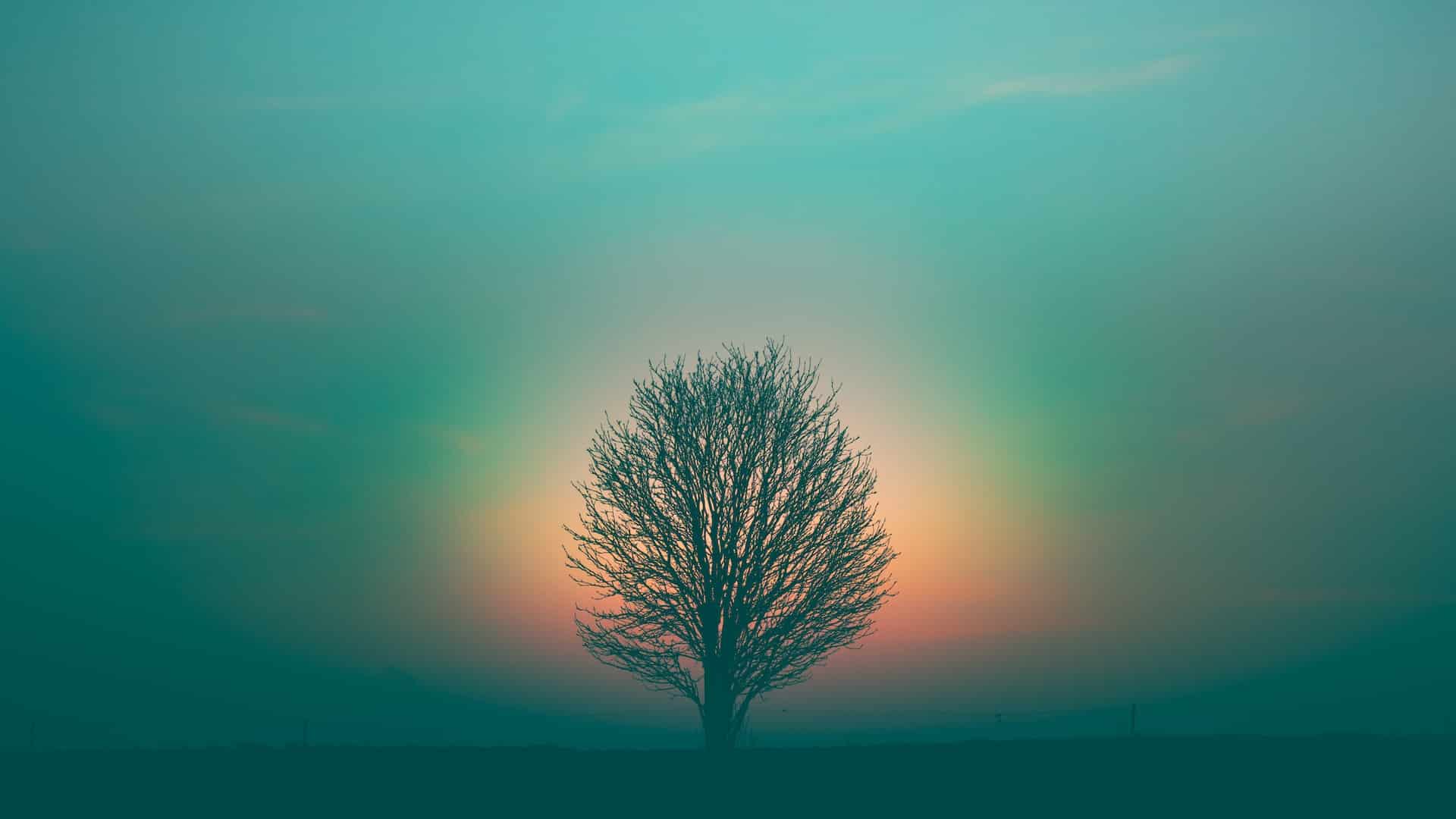 A shift toward spiritual awakening